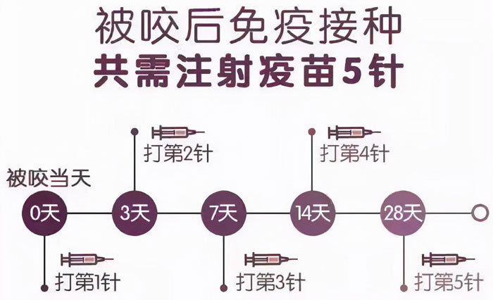 疫苗必须接种5针吗