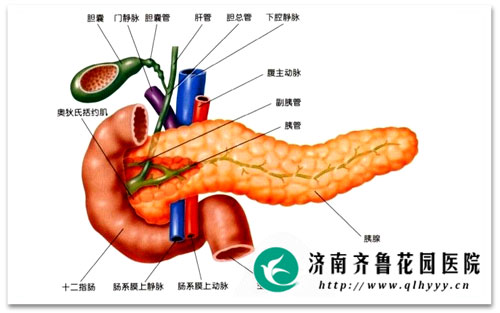 胰腺炎的发生是哪些原因导致的