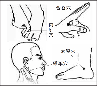 按压颊车与合谷二穴可缓解牙痛